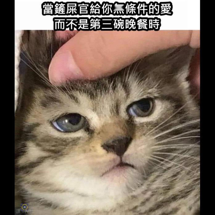 给你点颜色看看memes