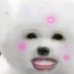 雀骨好看不