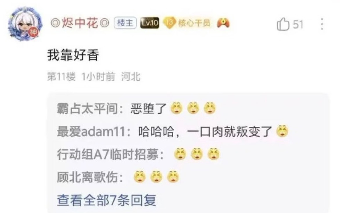 一个甜粽党的叛变💔