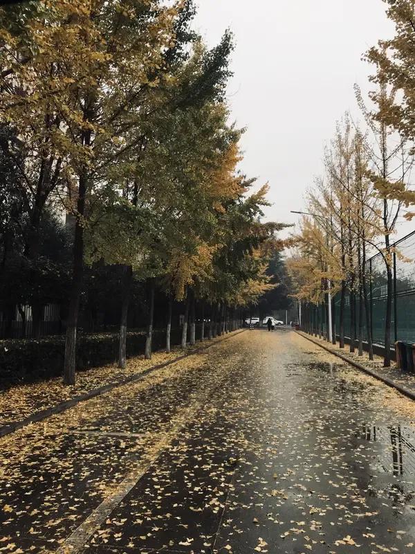 黄老师今年十月份就要退休了，教龄四十一年，一级职称。他现在关心的事情就职称对退休