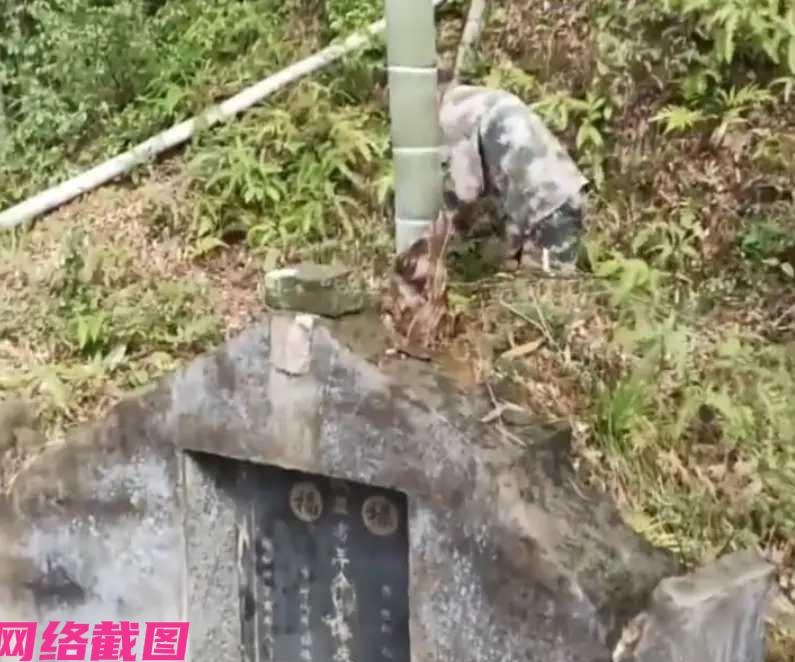 江西有男子清明上山祭祖时，抬眼看到自己的祖先坟墓上，竟然长出一根竹子且还长在坟头