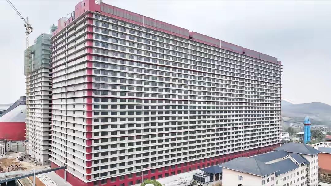 中国猪价持续走低，根本原因就是规模化养殖彻底取代散养，产能过剩压垮价格。像武汉