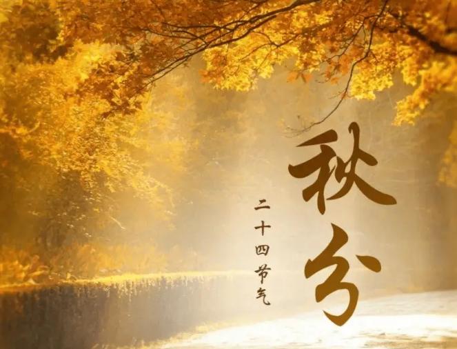 秋老虎赖着不走，秋分直接翻脸。9月23日8时05分，秋分准点登场，冷空气和副