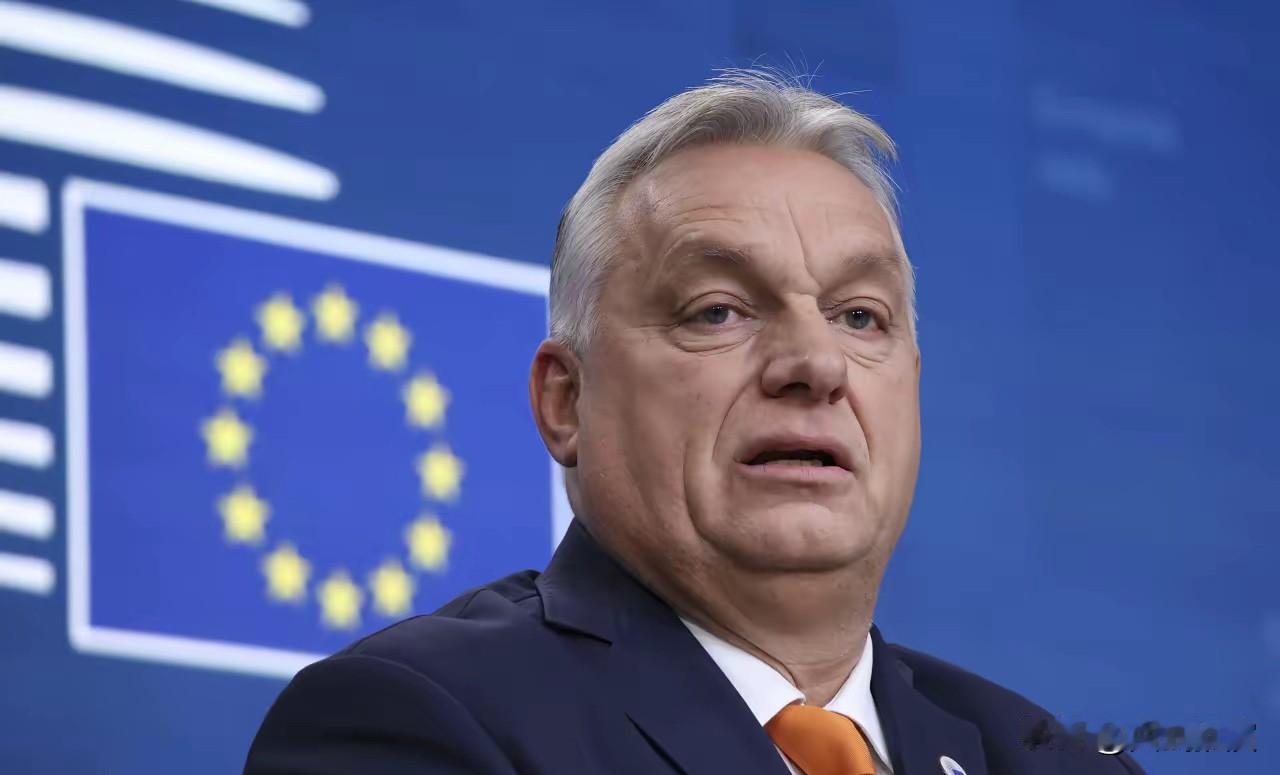 【匈牙利总理欧尔班，2月26日致乌克兰总统弗泽连斯基的公开信】欧尔班这次一点