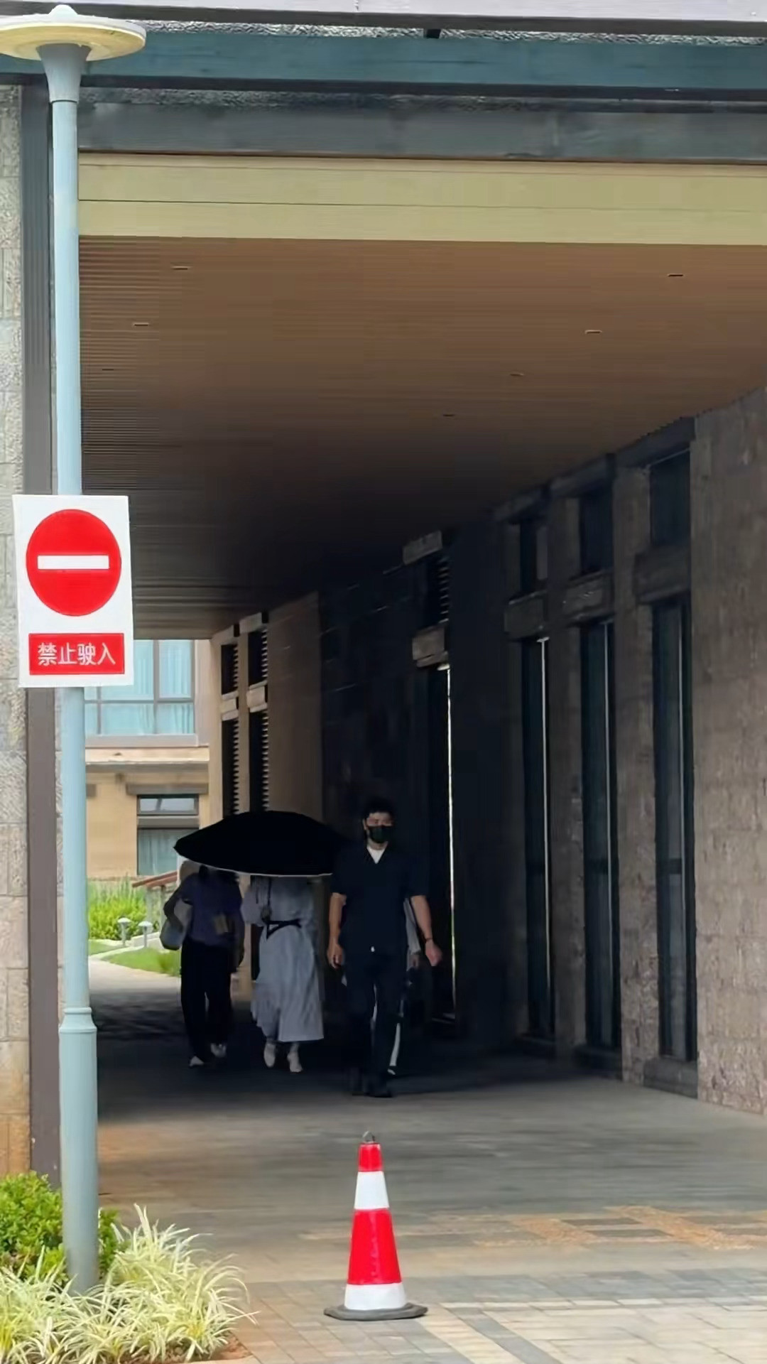 刘诗诗粉紫色短发造型刘诗诗白裙紫短发期待诗诗的新造型