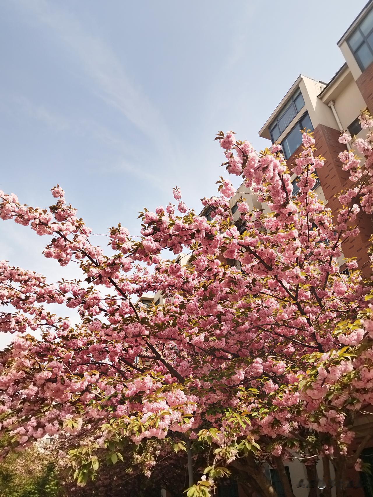 所有的烦恼来自念头，一念之间，可以扭转乾坤。所以，要留意自己的念头，从一件事发生