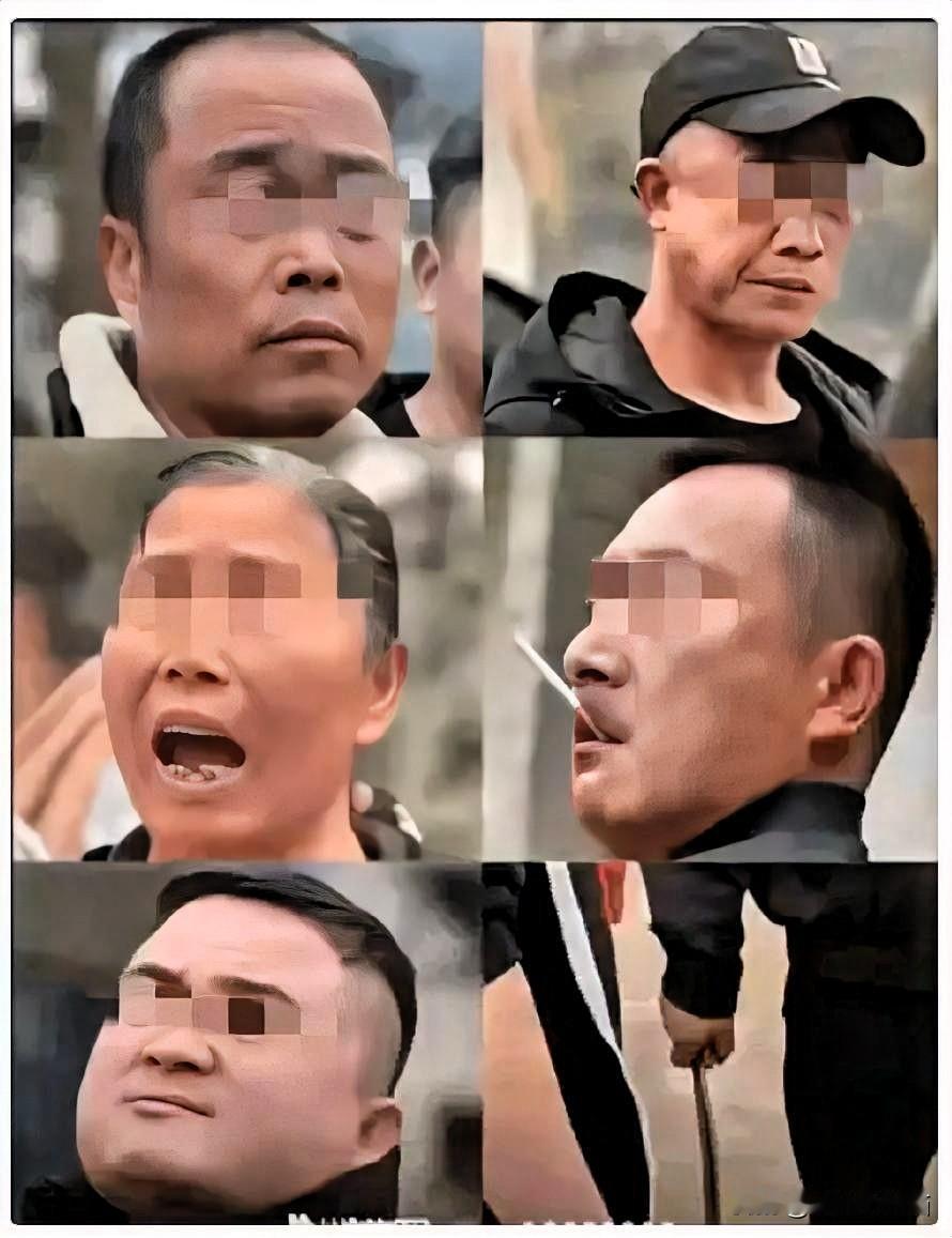 “他们让分猪肉才分的！”株洲村民之所以能把事情搞成这样，感觉他们在撒谎。株洲