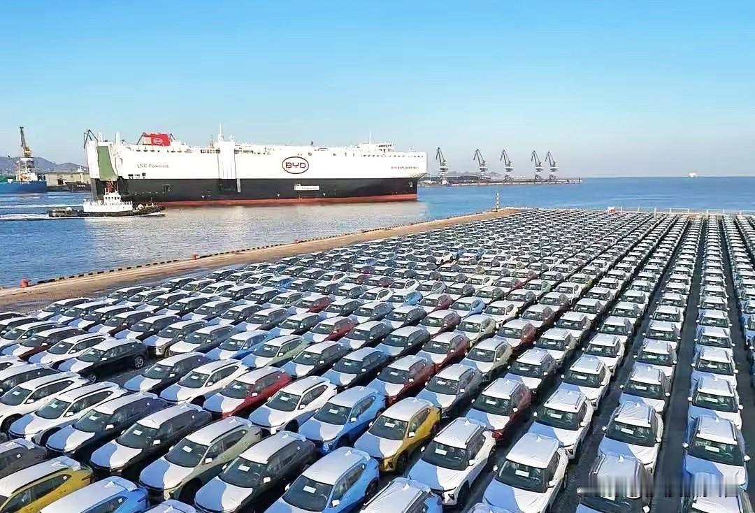 杀鸡儆猴！中方不再惯着，拿“变色龙”马克龙开刀，法国农民慌了.近期，面对马克