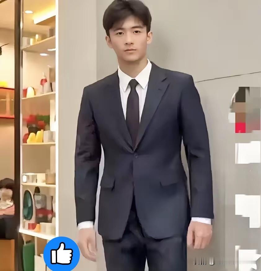 就在刚刚星二代谢振轩：一个在风雨中长成的“小男子汉”张柏芝的大儿子谢振轩，