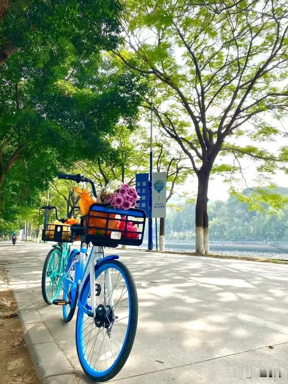 一位情感专家说：“男孩子千万不要盲目触碰大龄单身女性，看似成熟舒服的关系里，藏着