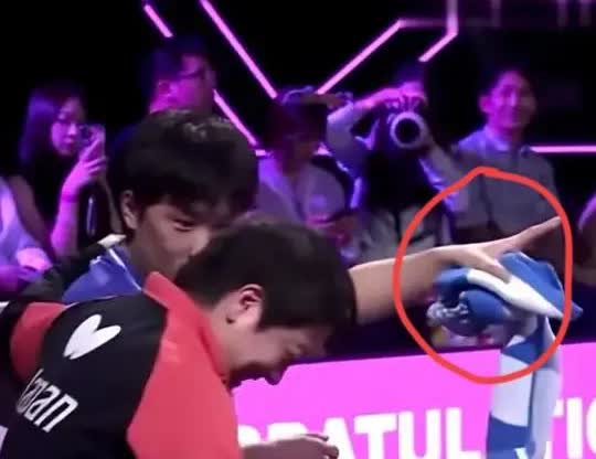 张本智和呀奉劝你几句，别以为你的根在中国，我们就不会骂你，也别以为你小就