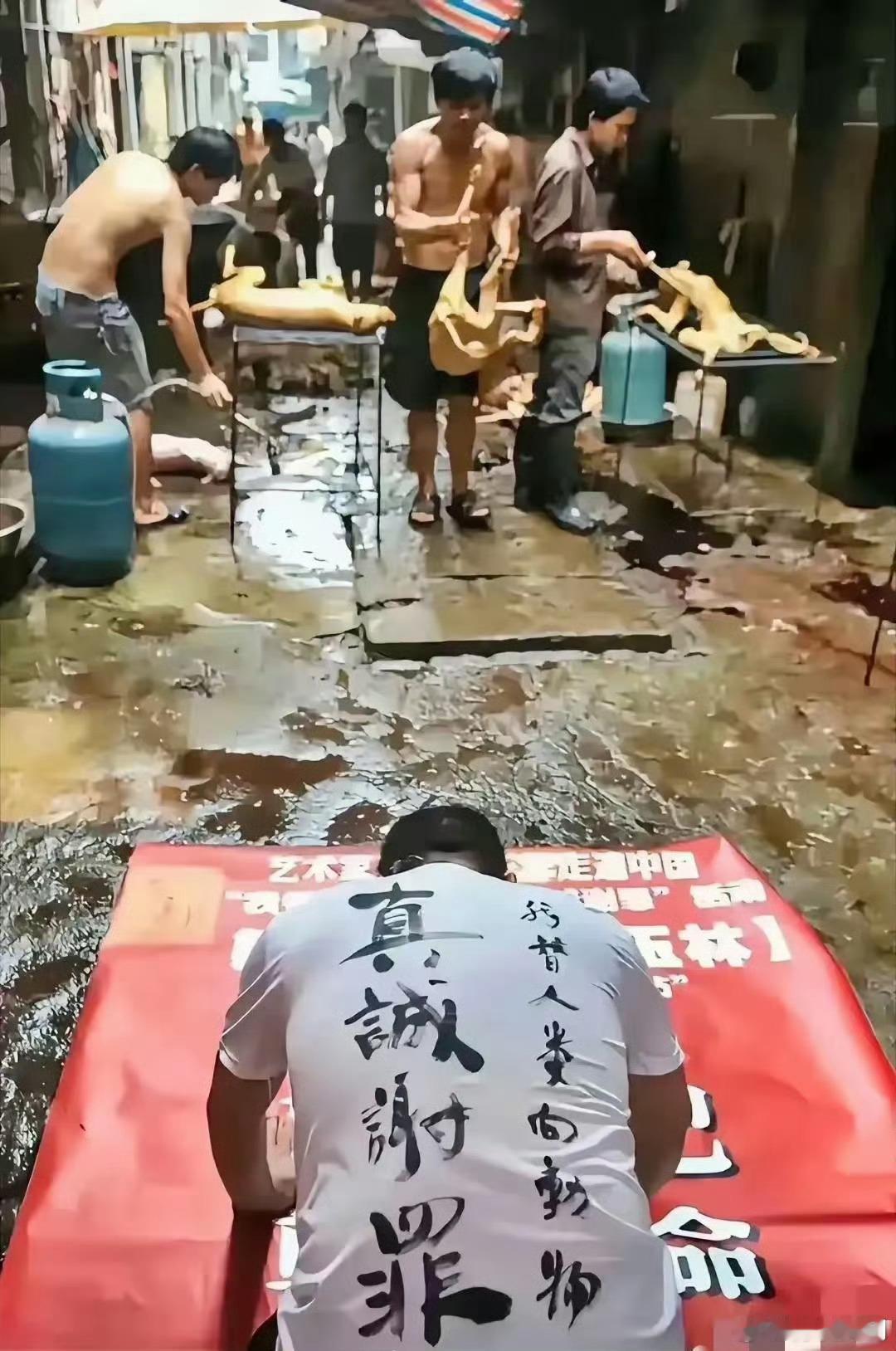 广西玉林，爱狗人士替人类下跪谢罪，您怎么看？​​​