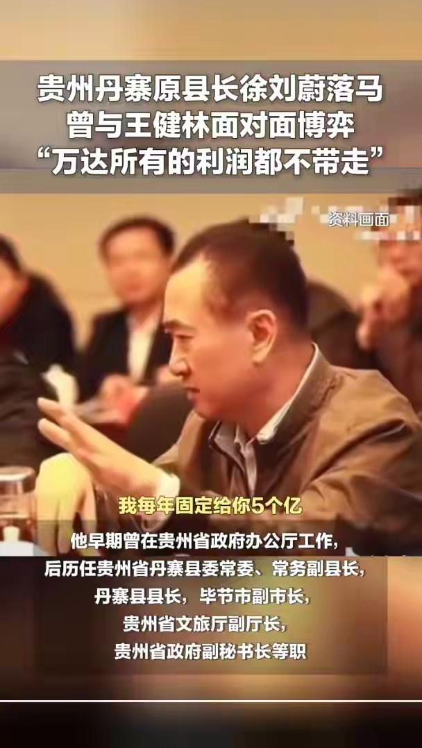 硬刚王健林的徐刘蔚真经不起深扒，这4个真相把他拉下水。1、32岁就当上丹寨
