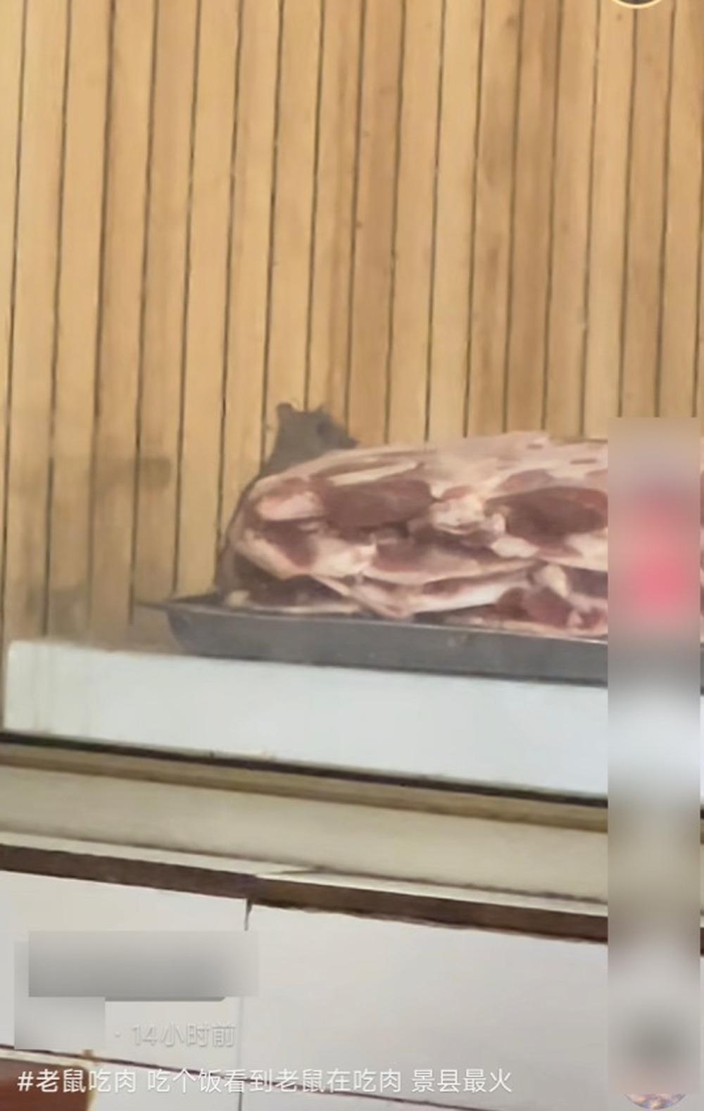 店内人声鼎沸，食客满屋，而镜头一转，透过玻璃，只见一只硕鼠正在后厨啃食一大块生肉