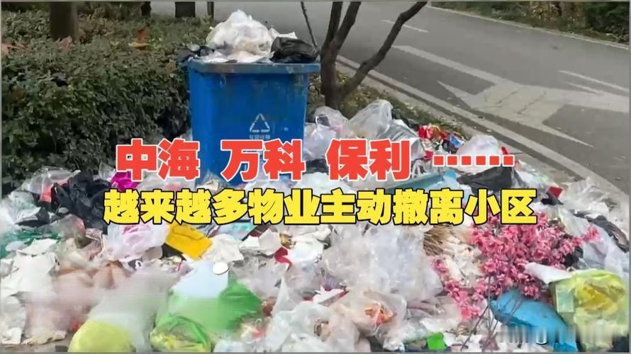 物业"炒"了业主：大撤退是福是祸？·曾几何起，想换物业难于上青天；2025年