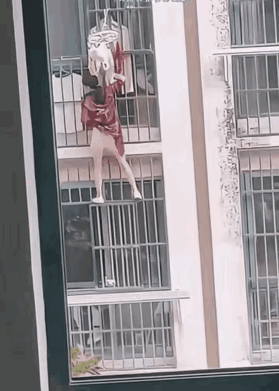 她是怎么做到不害怕的啊！[捂脸哭][捂脸哭][捂脸哭]