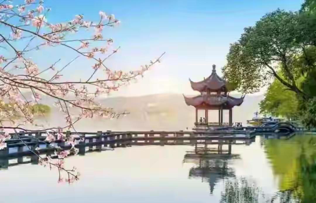 A股市场，量化交易胜利了，机构大资金胜利了，大股东、二股东们胜利了，上市公司胜利