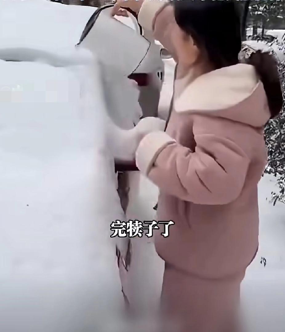 真损啊！女子不相信冬天用开水浇车玻璃会爆裂，烧了一壶开水，拿别人的车试验！结果“