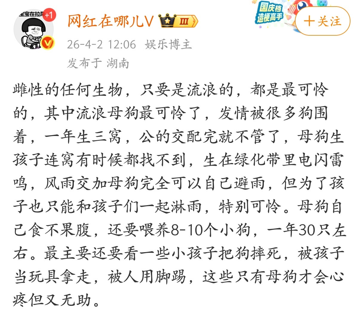雌性的任何生物，只要是流浪的，都是最可怜的。