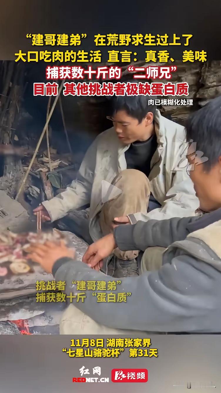 一觉醒来，荒野求生节目可彻底热闹了！别的选手还在苦哈哈地啃猕猴桃、嚼山药、勉强咽