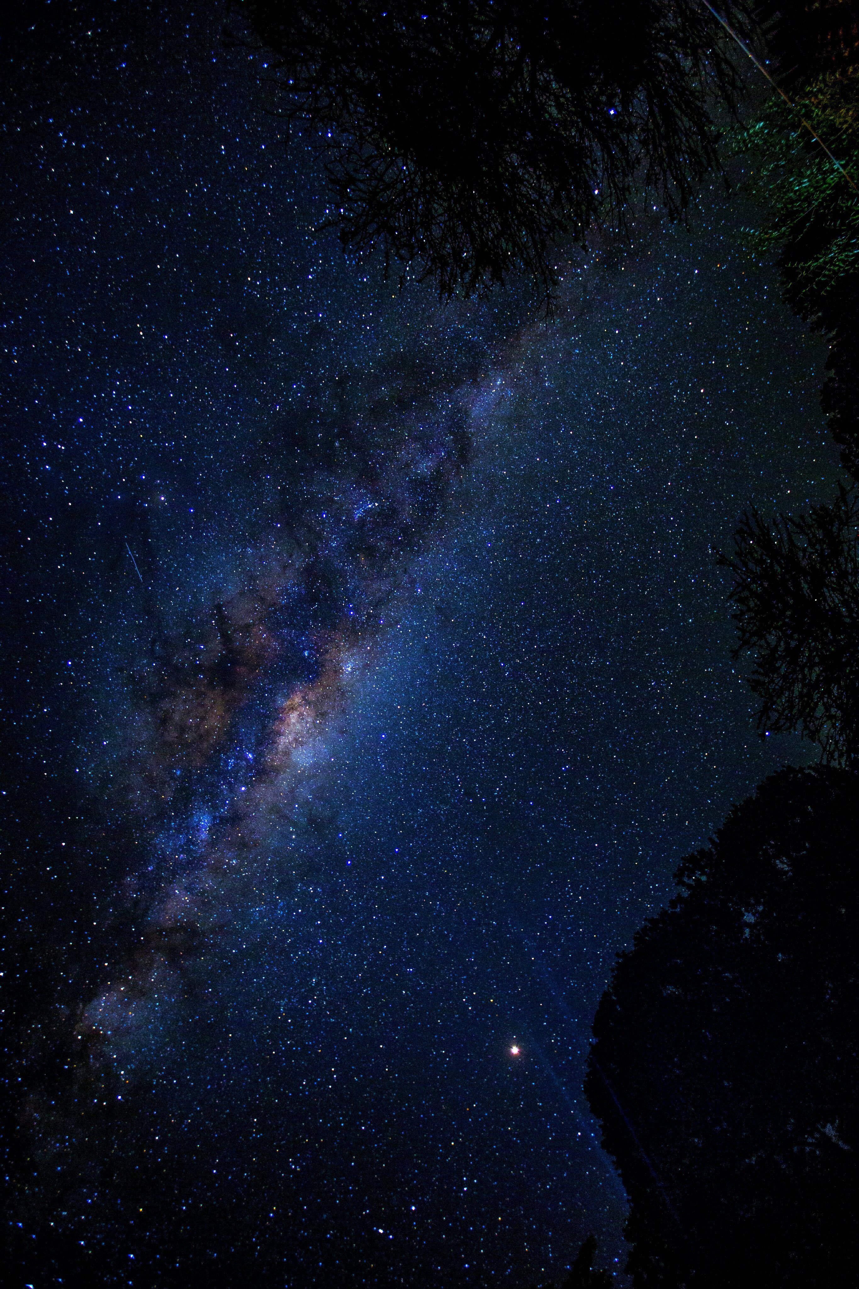 宇宙的目的是什么？​​​