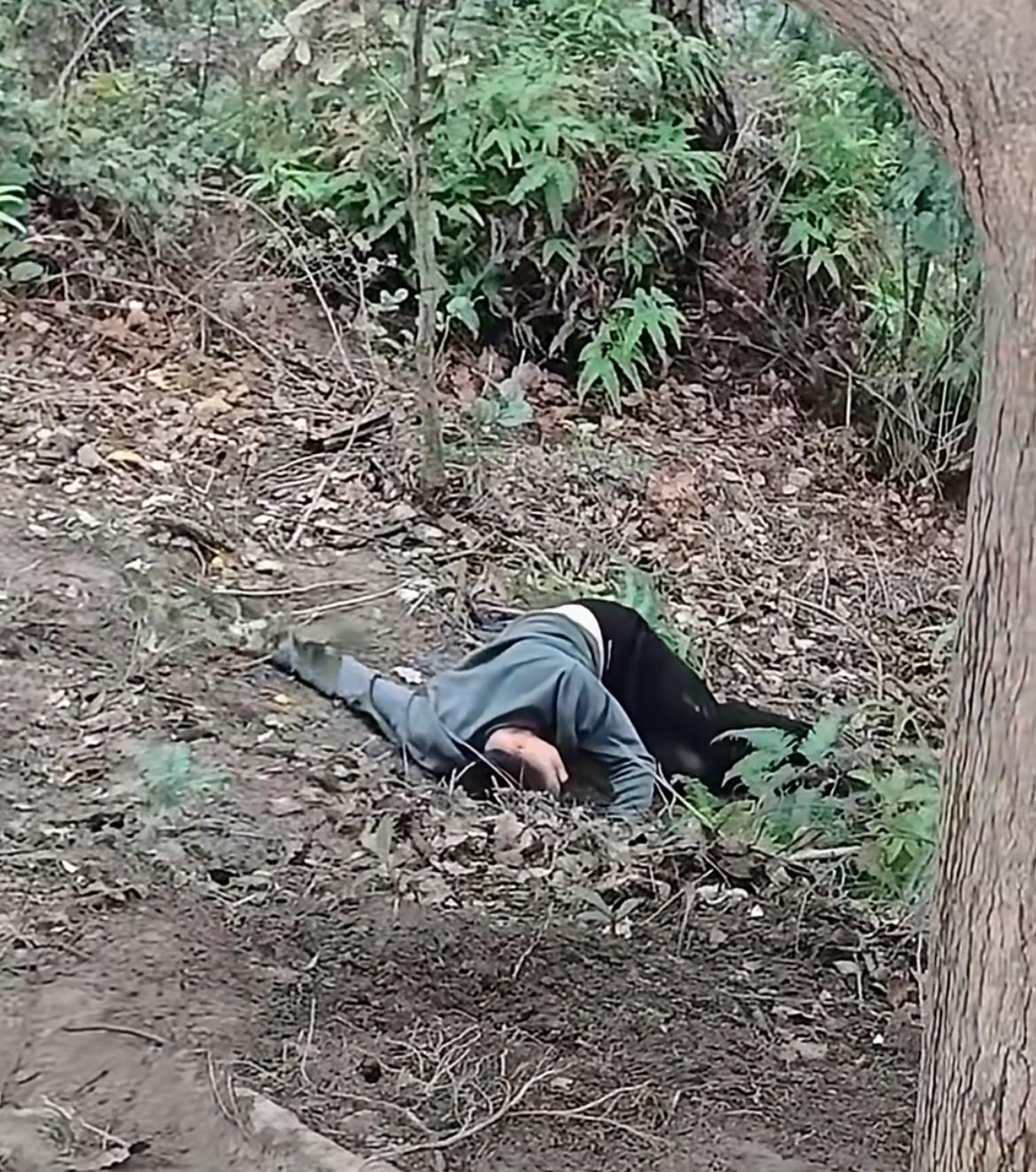 重庆男子野树上耍双杠，在众人的围观起哄中越玩越起劲，结果悲剧了。自己几斤几两不清