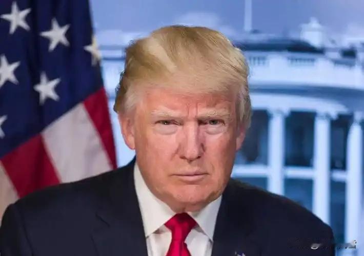 美帝国主义真是纸老虎！特朗普这张纸更是一戳就破。近日，前美国总统国家安全助理沙利