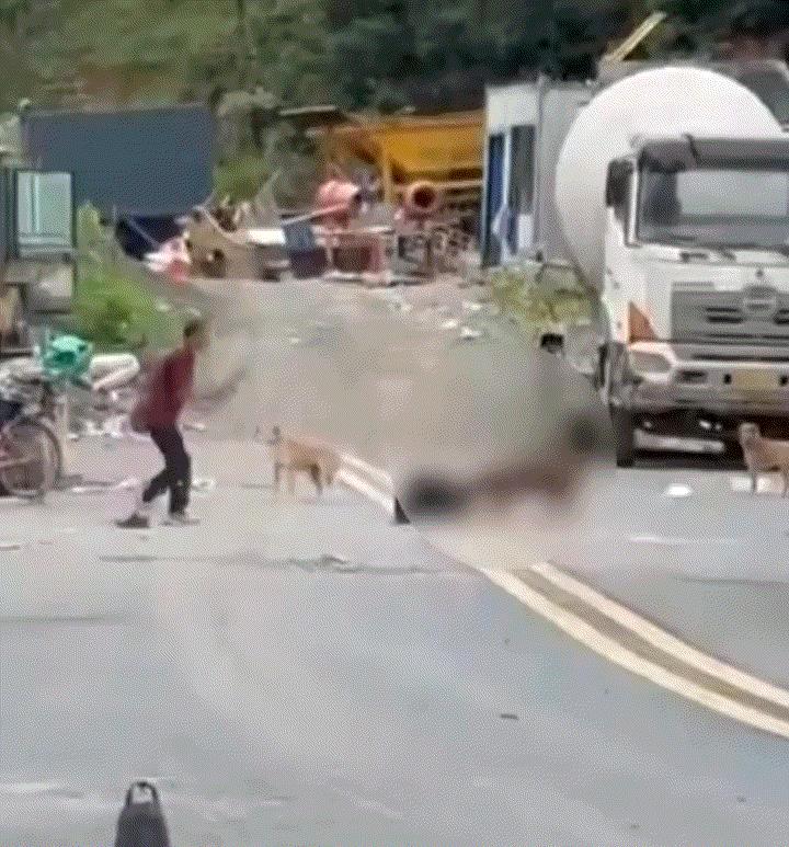太凶狠了！湖南郴州桂东县，一只比特犬将一名保安大叔扑倒后对其进行猛烈撕咬。视频可