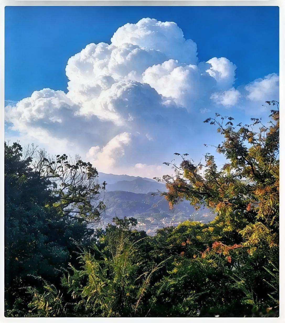 最损寿命的工作：这些职业长期透支身体，看完让人揪心！1. 长途司机：