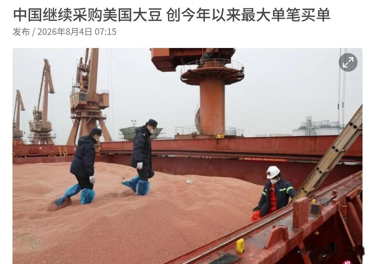 8月4日，根据联合早报报道，美国农业部公布称，向中国销售了48.8万吨的美国大豆
