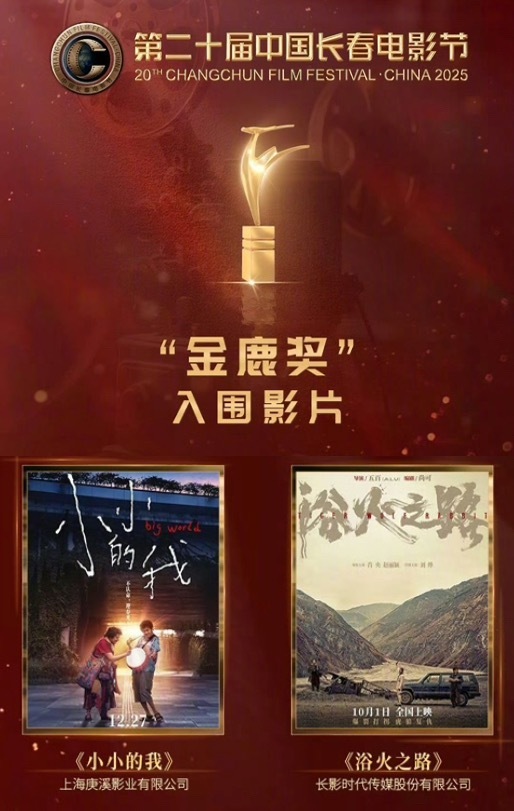 浴火之路入围金鹿奖恭喜赵丽颖《浴火之路》入围金鹿奖，我姐部部都精品，期待每一次