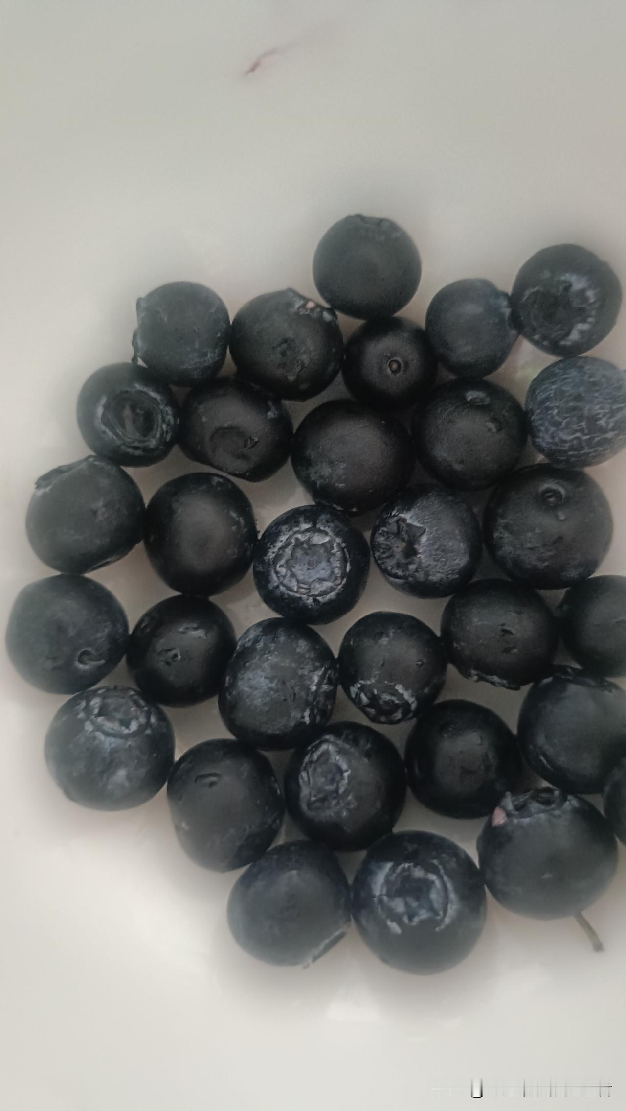 这些圆滚滚的小家伙，是刚洗好的蓝莓，像撒了一把深紫色的小宝石。有的带着天然