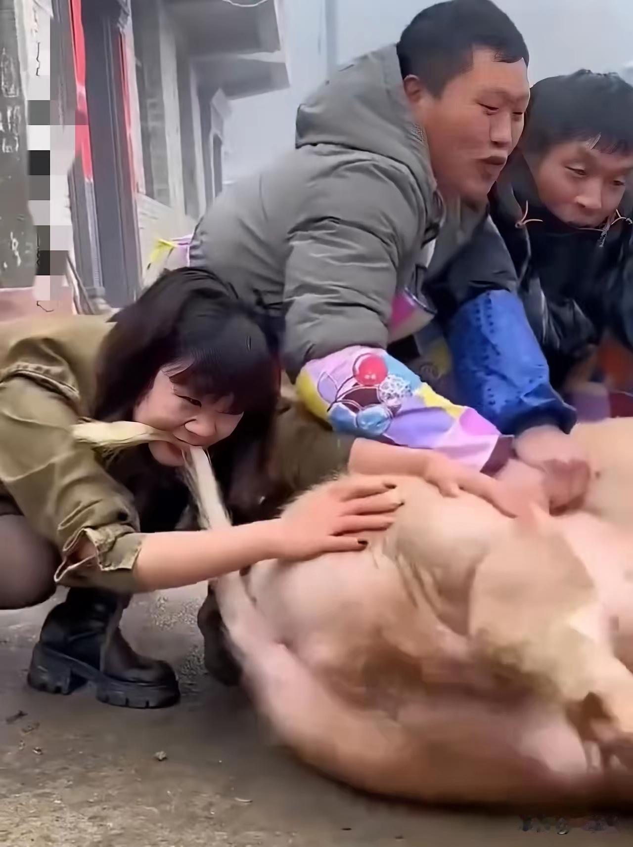 有人问同样是父母的，为啥要人为分成三六九等？脸面和屁股能一样吗，脸面不仅风光还