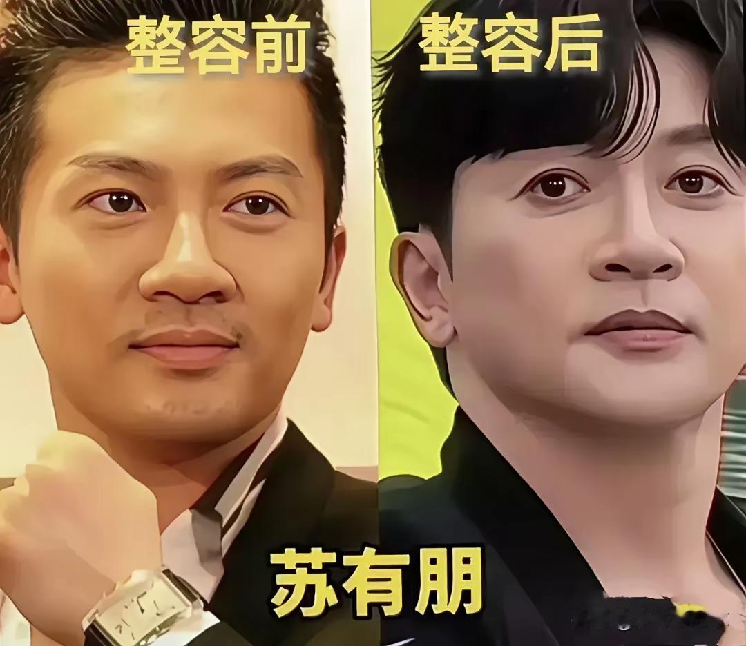 超级玛丽版的陈浩民，你见过吗？陈浩民，现在看起来这脸型真的是越来越怪异了，这整容