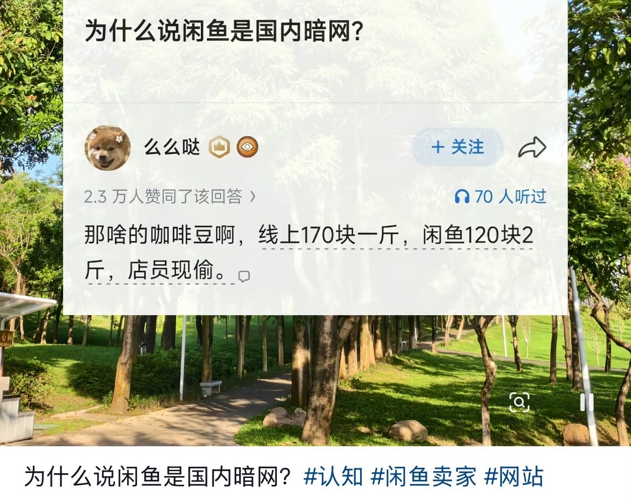 #闲鱼涉黄#怪不得说咸鱼号称国内暗网呢只有你想不到，没有他做不到...该继续管管了，也太乱了​