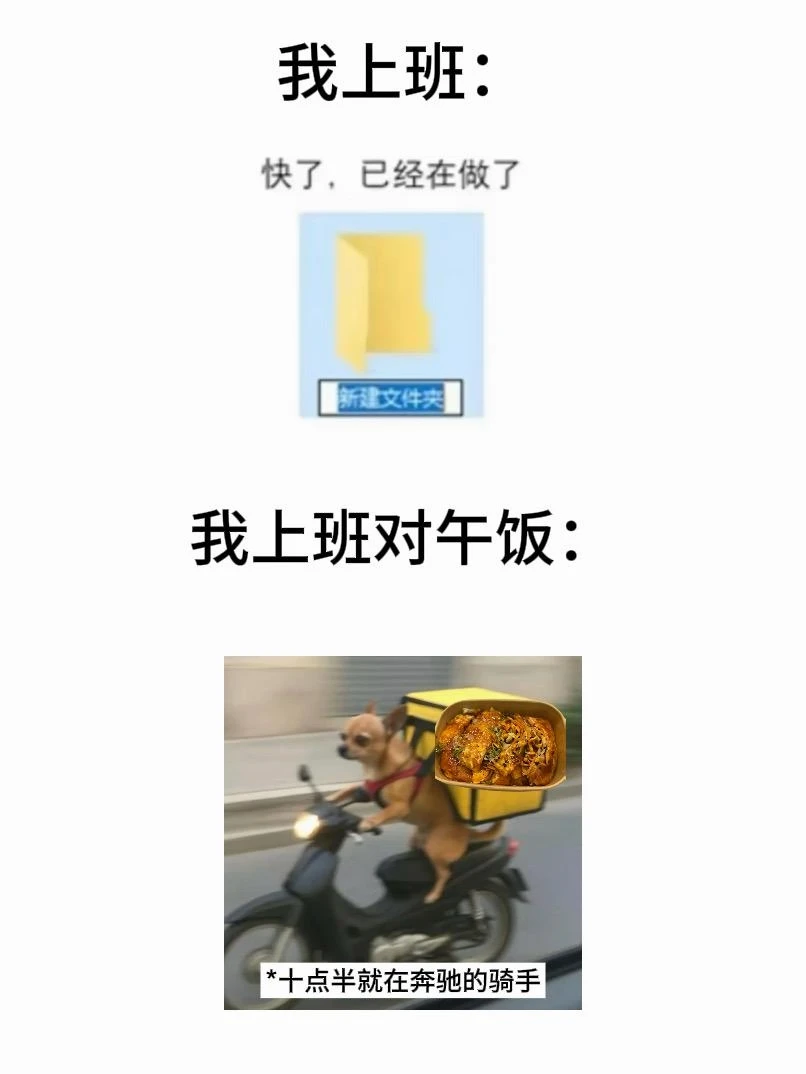 哈哈，超绝执行力！