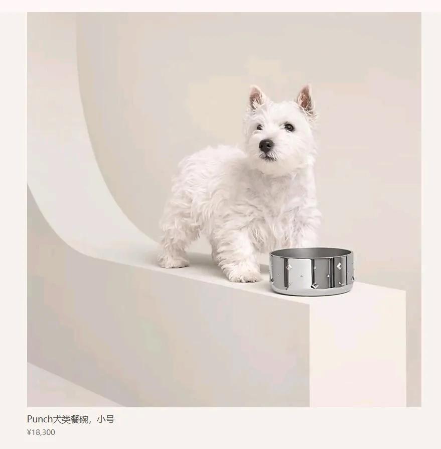 有钱人的世界，谁看得懂？2万元的〖狗碗〗亮瞎了多少穷人的眼？近日爱马仕官网上