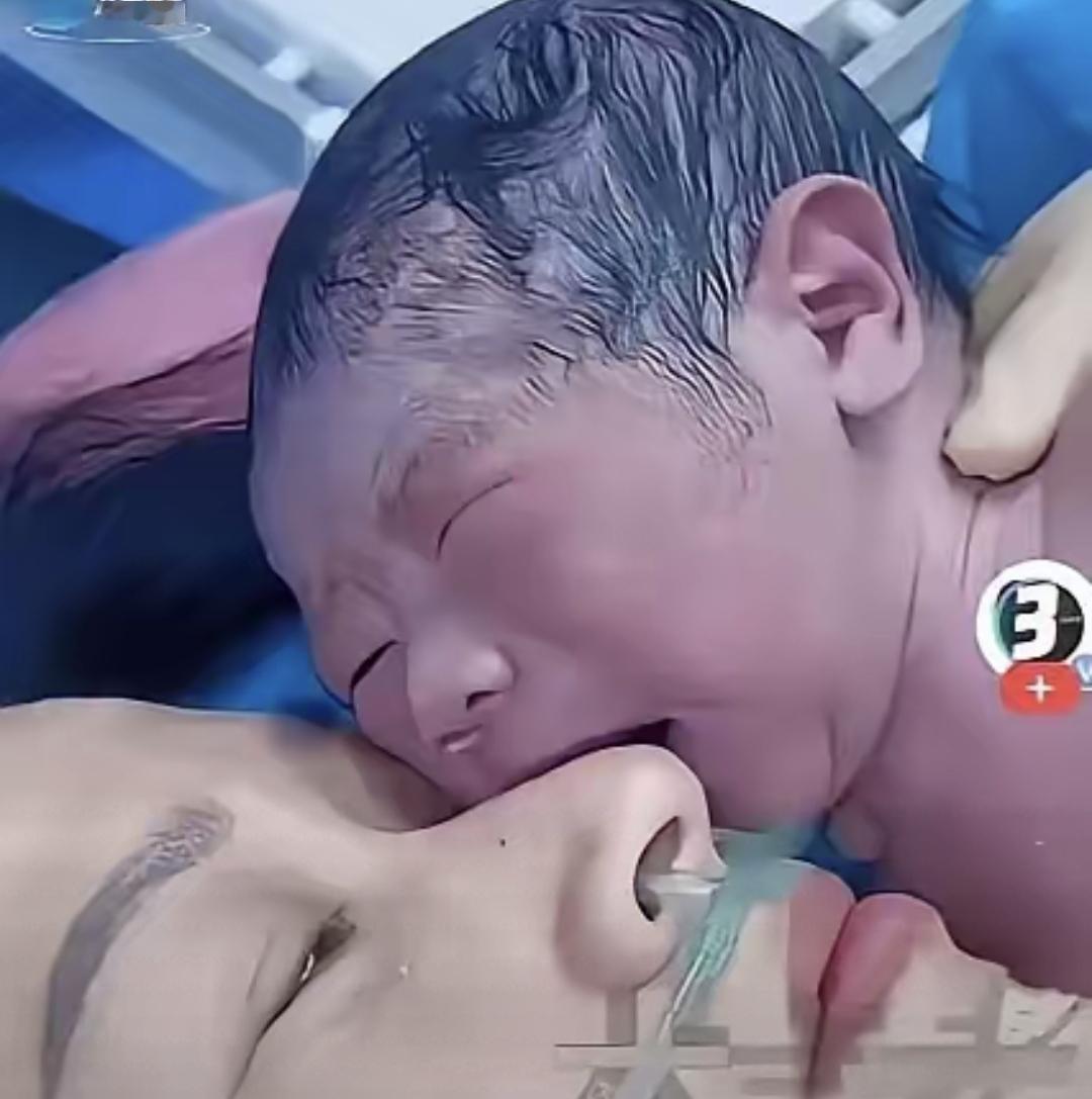产房里秒秒掐表，妈妈抱娃像犯错，脐带剪了哭声却停不下来。这两件事，江苏和浙江的