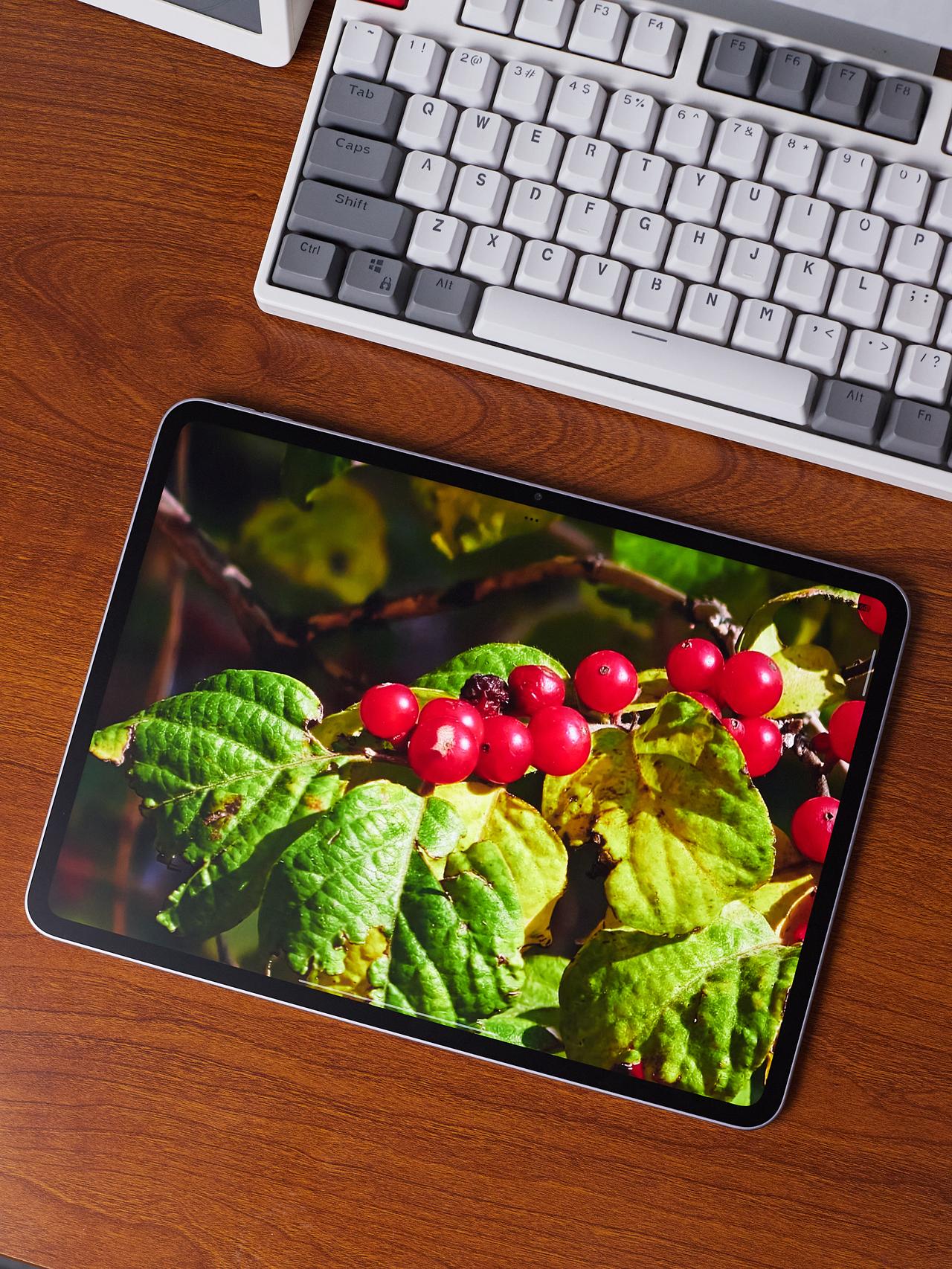 第一次吃上细糠，原来3K平板这么高清？身为家里最小的娃，之前用的平板都是家人用