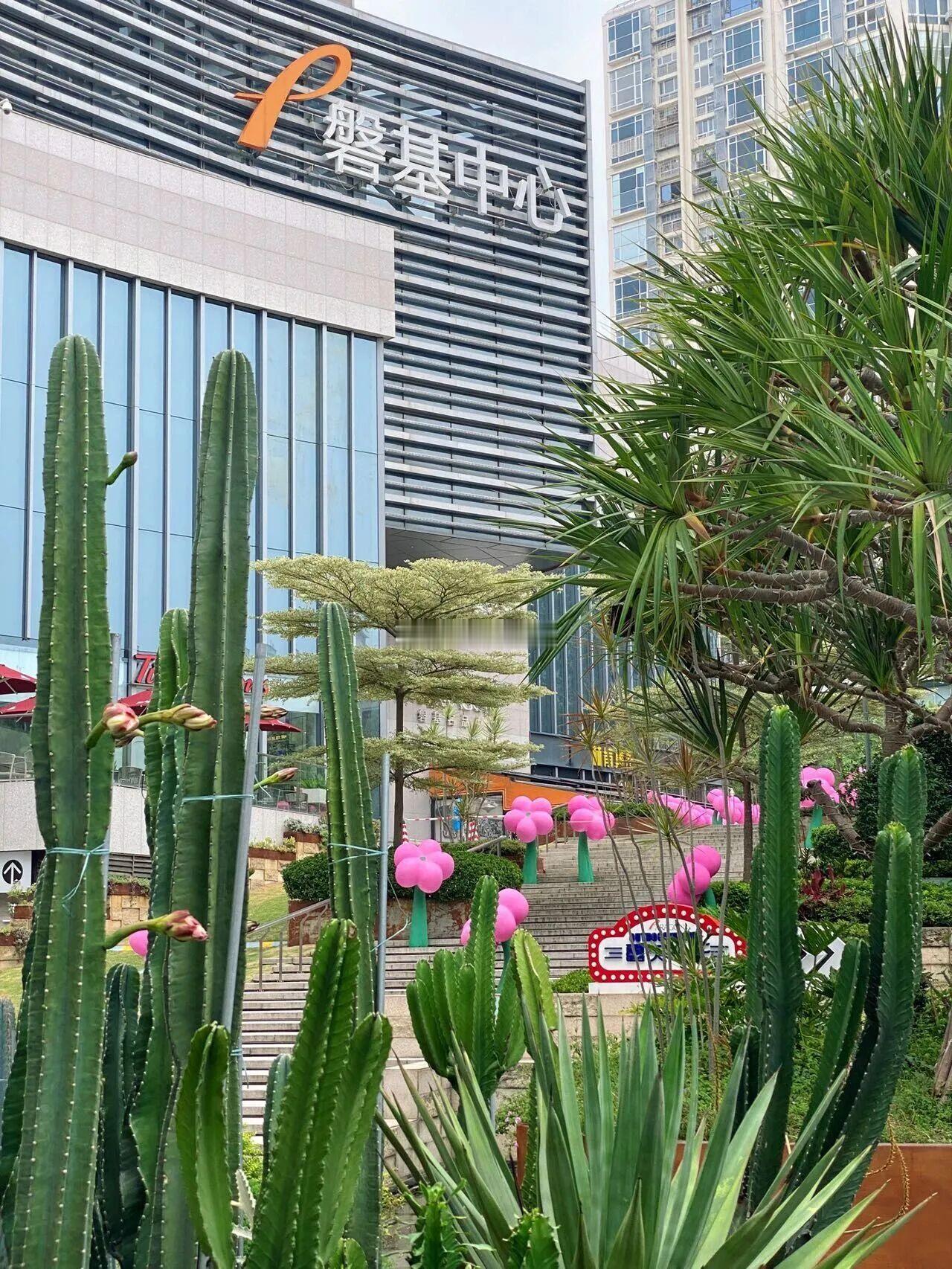 华润福建首个轻资产项目，撤了！近日，华润与厦门磐基中心、磐基莲花里的轻资产运营合