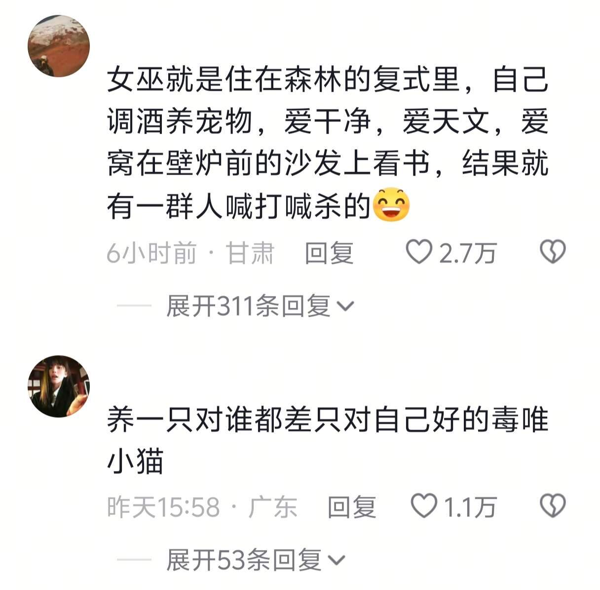 原来我是女巫？
