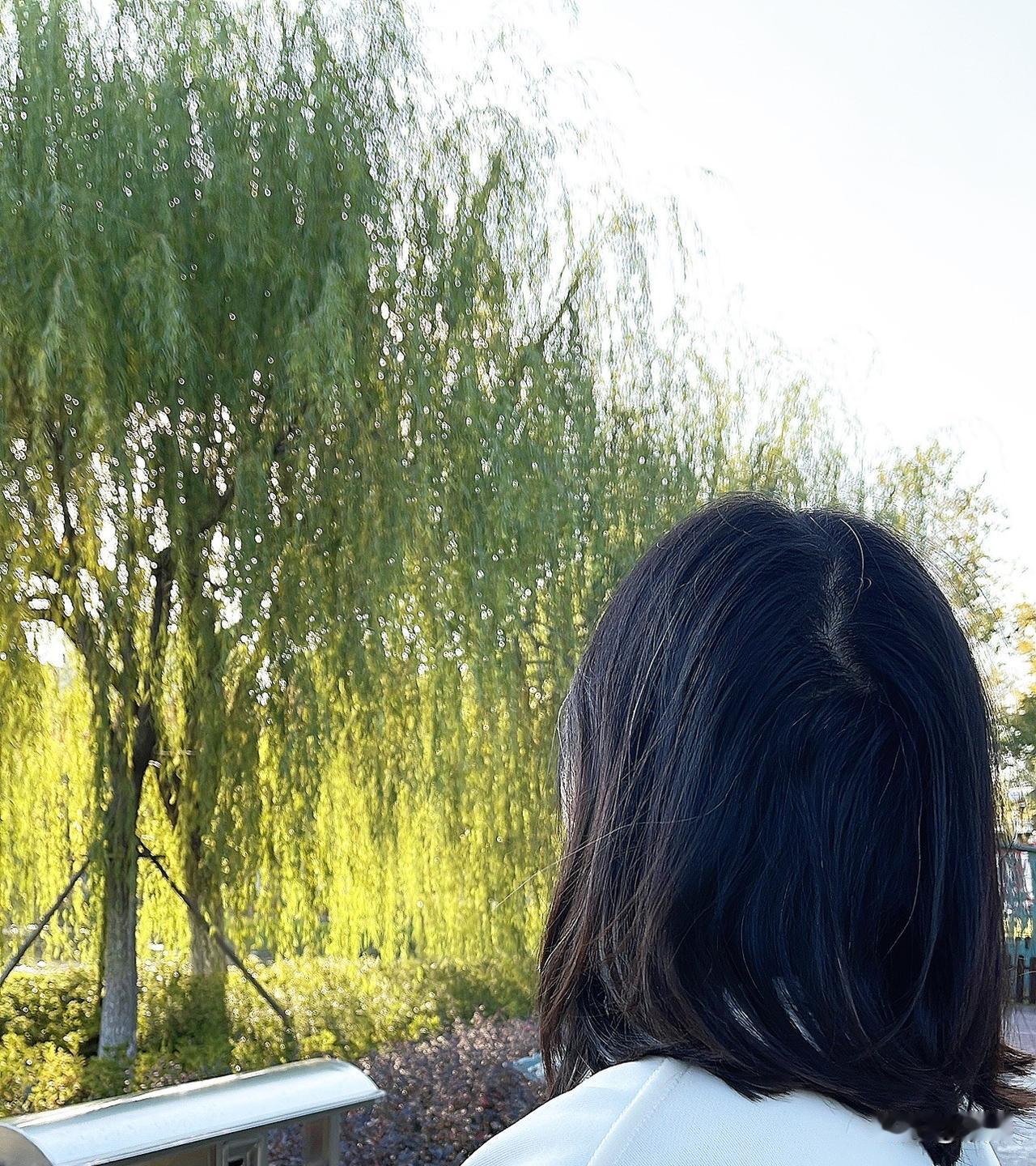 你们有白头发吗？95年的人，头上竟有这么多白发，尤其是两侧有人说这是压力过大、