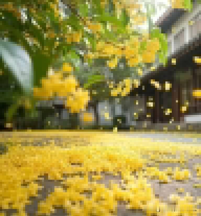 有研究说在股市亏的最多的都是50万以下的。在1000万以上的很少亏。为什么账户金