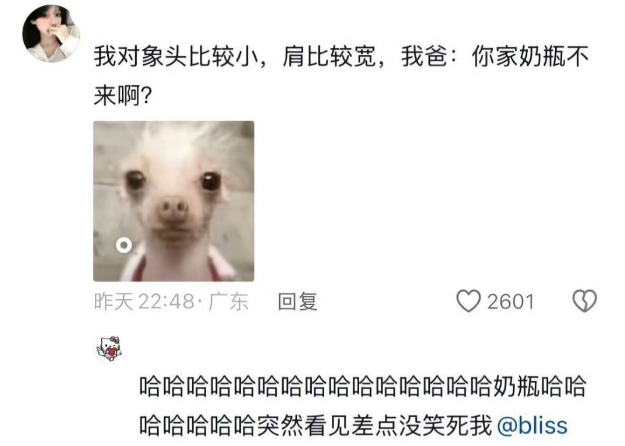 突然看见，笑死我了