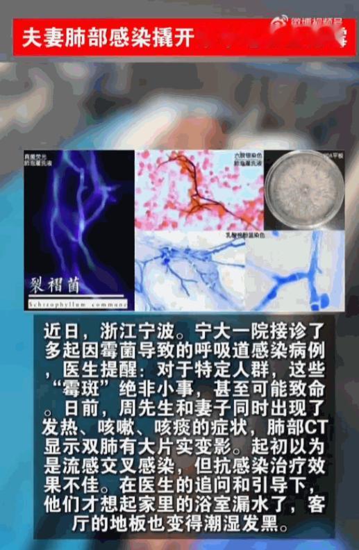 “真是让人想象不到！”浙江，周先生和妻子怎么也想不到，天天住的家里竟然藏着一个“