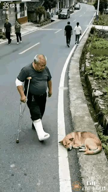 狗子：你打我干嘛？老头：我手贱就打你狗子：你看，都把我打掉沟里了老头：继续