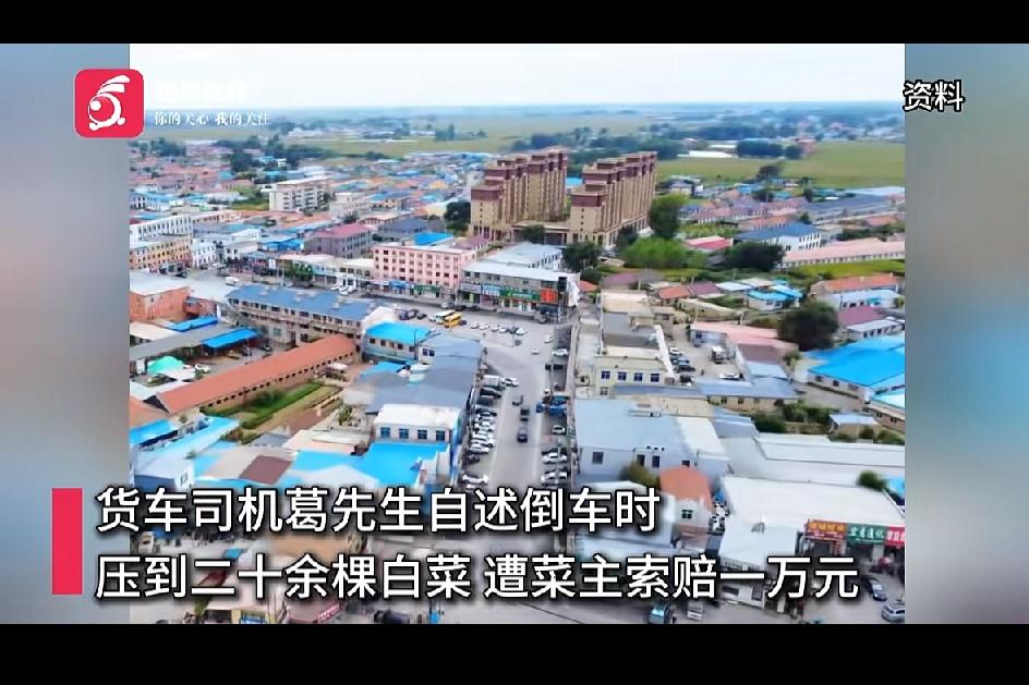 这跟明抢有什么区别！辽宁沈阳，一货车司机卸货后在路边掉头，不料压坏农民20颗白菜