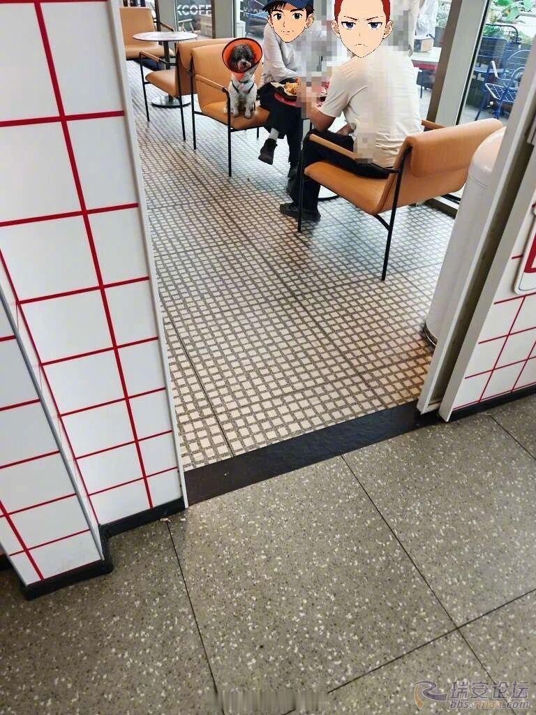 【温州知名综合体，狗狗坐餐椅，合适吗？】最近，有人发图称，瑞安吾悦广场肯德基里面