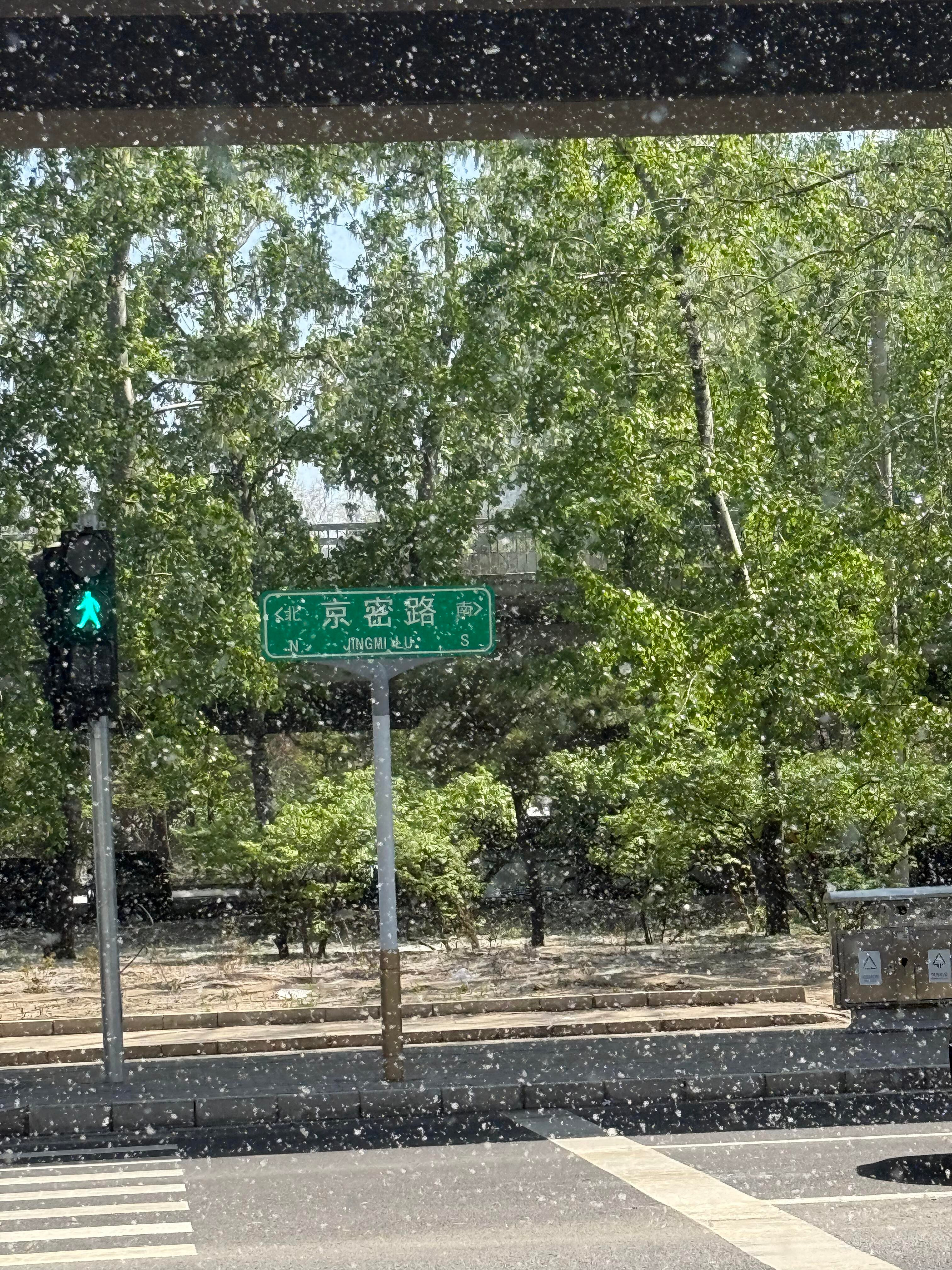 终于知道北京人为什么不爱出门了北京的春天，阳光明媚，20几度，下大雪没瞎说，有图