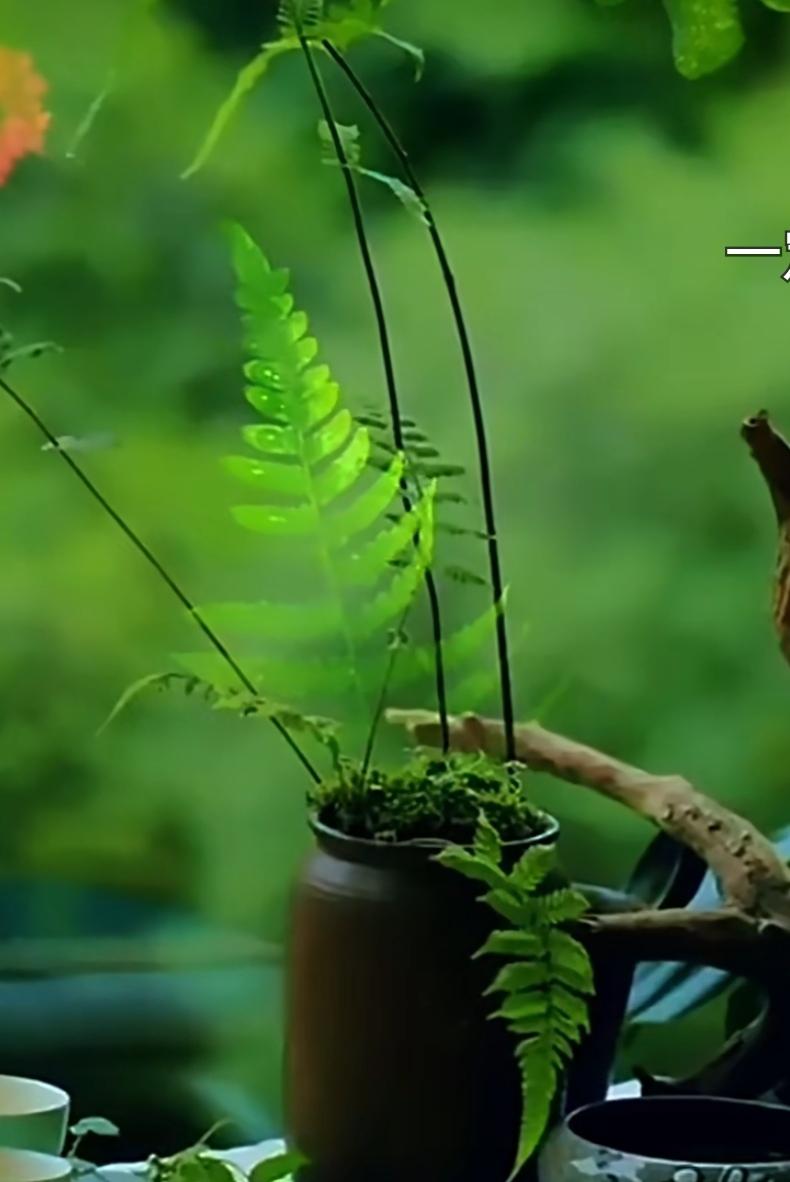 人生路上，親情相伴，知己同行，好友相隨，祝願生活：有滋有味，充實美好